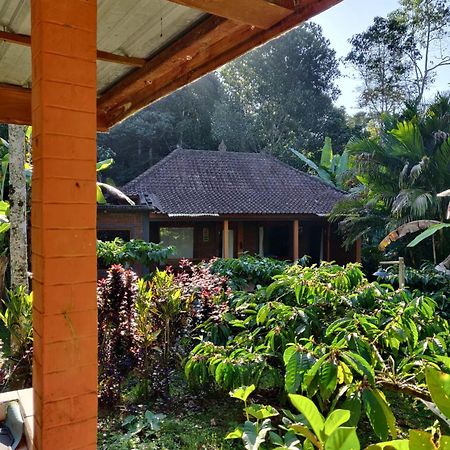Dina Home Stay At Desa Wisata Wongayagede Jatiluwih Buitenkant foto