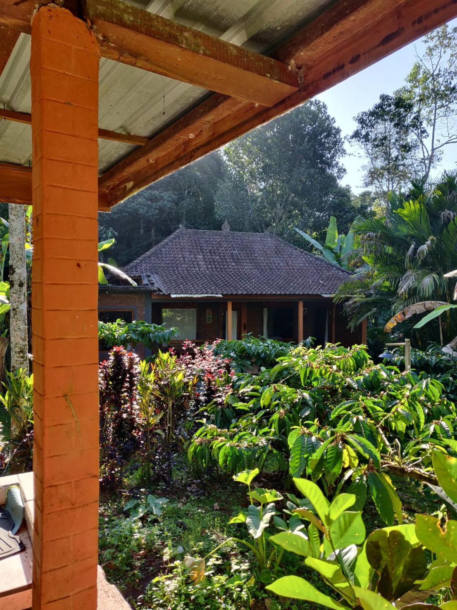 Dina Home Stay At Desa Wisata Wongayagede Jatiluwih Buitenkant foto