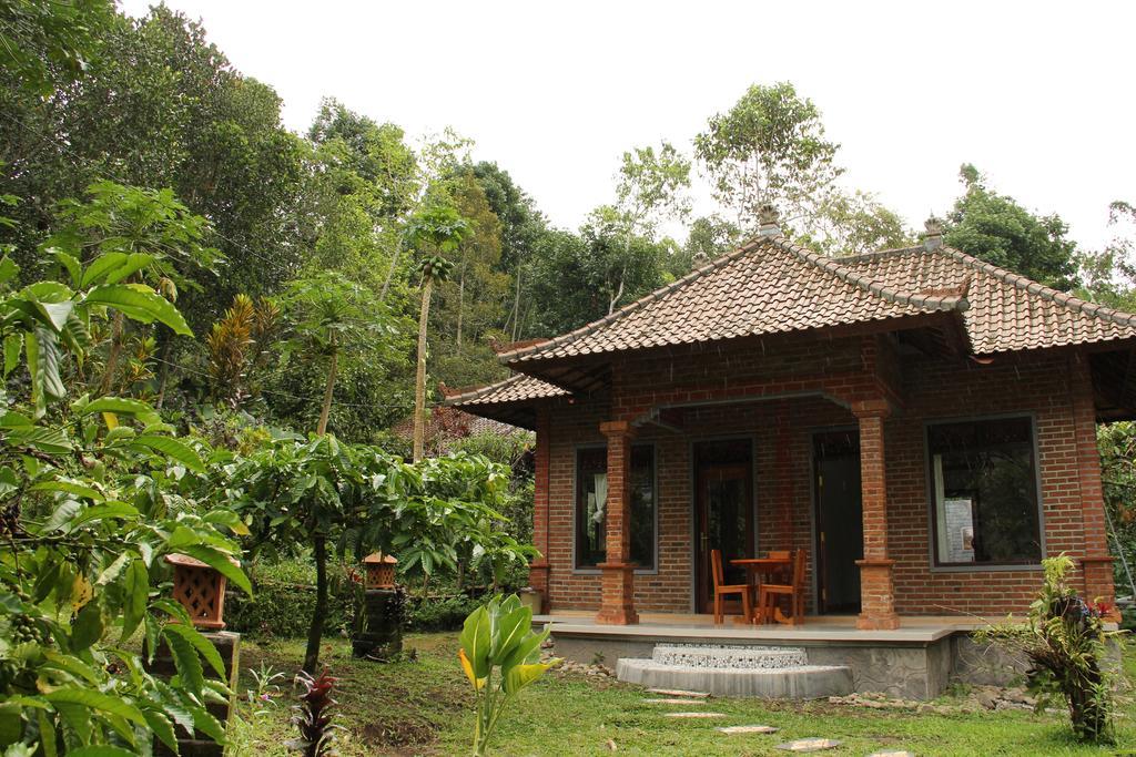 Dina Home Stay At Desa Wisata Wongayagede Jatiluwih Buitenkant foto