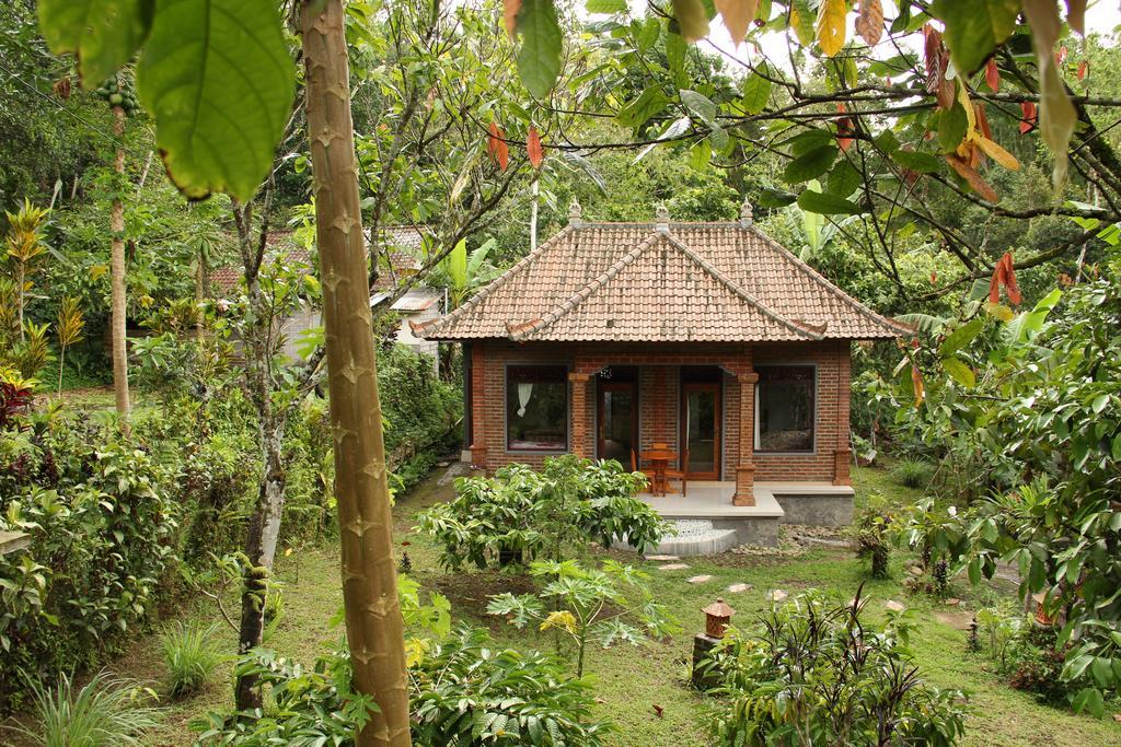 Dina Home Stay At Desa Wisata Wongayagede Jatiluwih Buitenkant foto