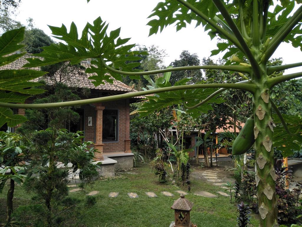 Dina Home Stay At Desa Wisata Wongayagede Jatiluwih Buitenkant foto