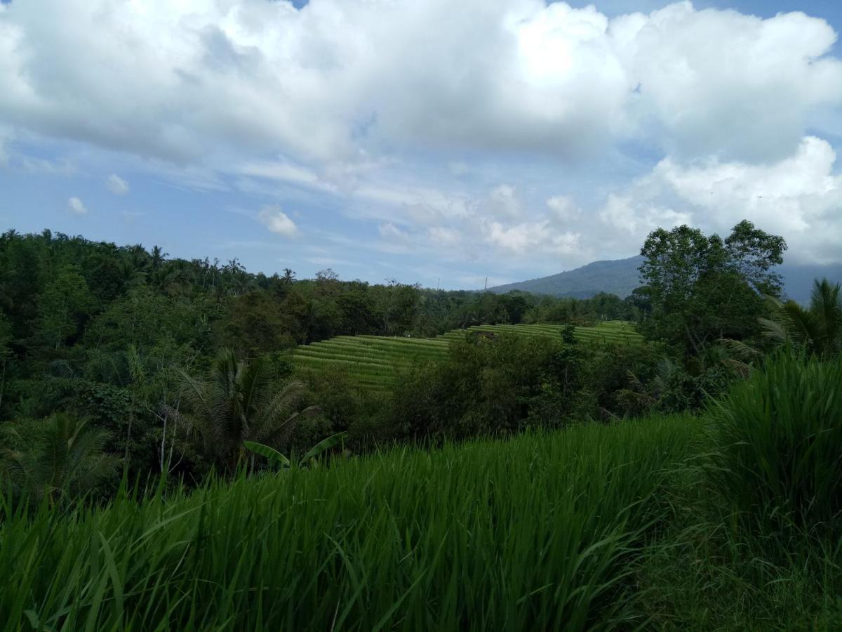 Dina Home Stay At Desa Wisata Wongayagede Jatiluwih Buitenkant foto